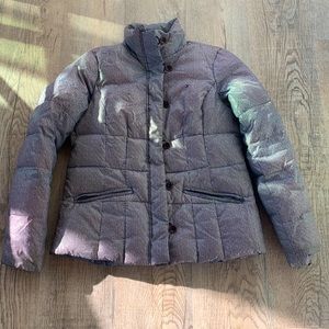 Tommy Hilfiger winter coat Women’s medium jacket